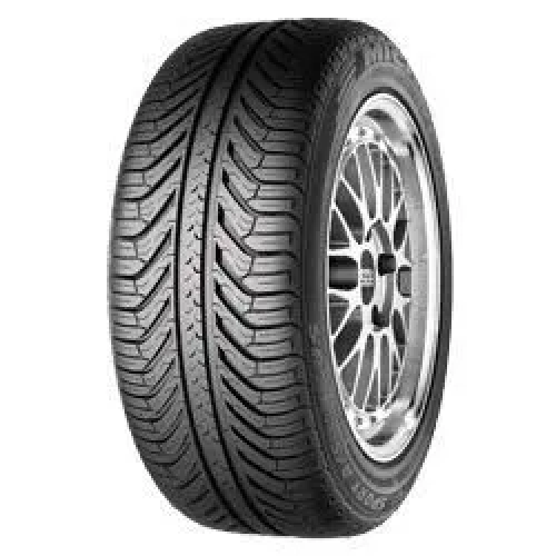 255/45 R19 100V  Pilot Sport A/S Plus  N1