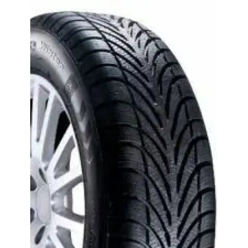 205/60 R15 95H g-Force Winter XL