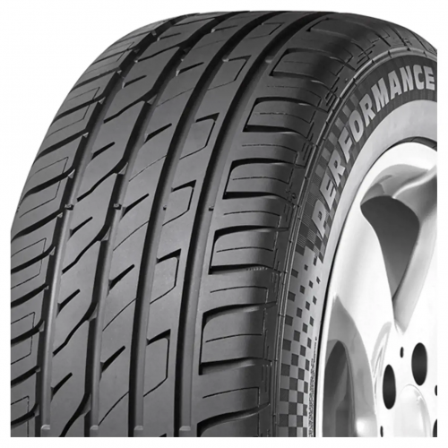 225/55 R16 99W Performance XL