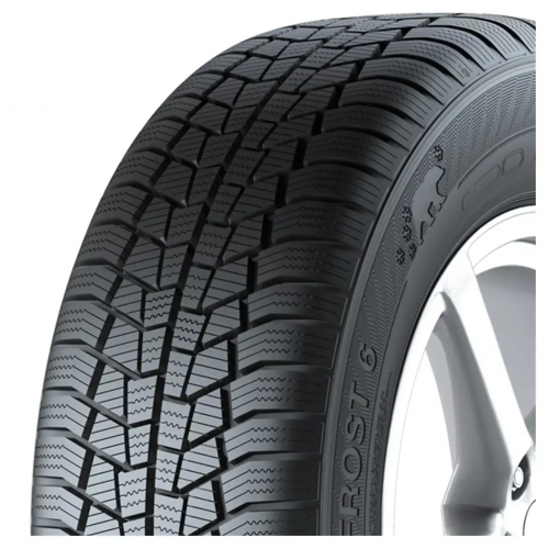 195/65 R15 95T Euro*Frost 6 XL