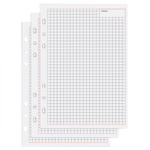 50 bind Ringbuch-Ergänzungsblätter kariert A5