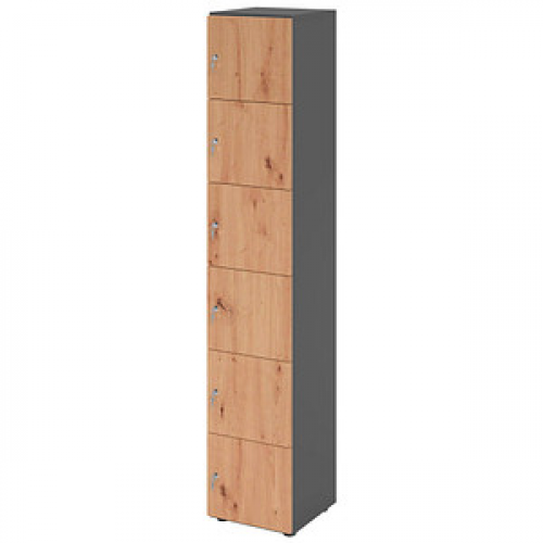 HAMMERBACHER Schließfachschrank grafit, asteiche V264L6/G/R/DS, 6 Schließfächer 40,0 x 42,0 x 215,6 cm