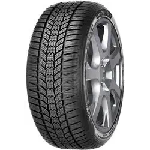 205/55 R17 95V Eskimo HP 2 XL