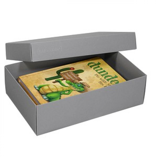 2 BUNTBOX L Geschenkboxen 3,6 l grau 26,6 x 17,2 x 7,8 cm