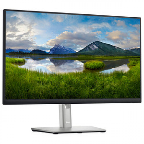 DELL P2422H Monitor 61,0 cm (24,0 Zoll) schwarz