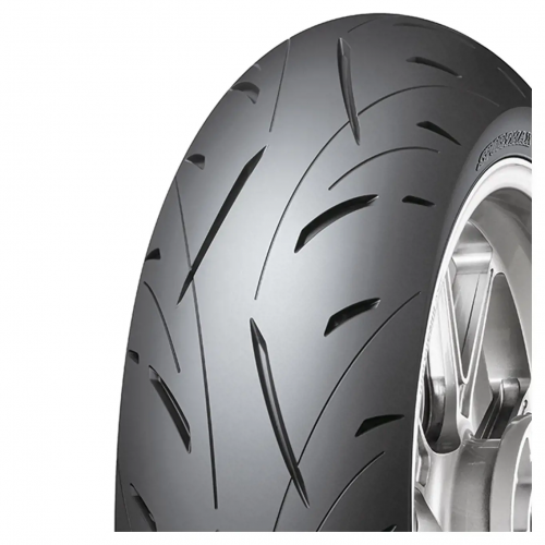 160/60 ZR17 (69W) Sportmax Roadsport II Rear M/C