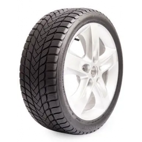 215/55 R16 97V Winter Lander