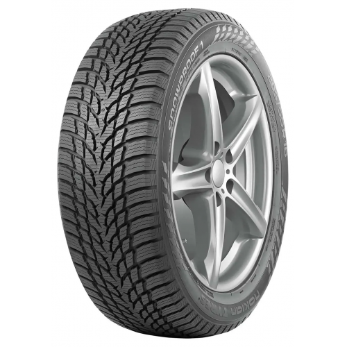 205/55 R16 91H Snowproof 1