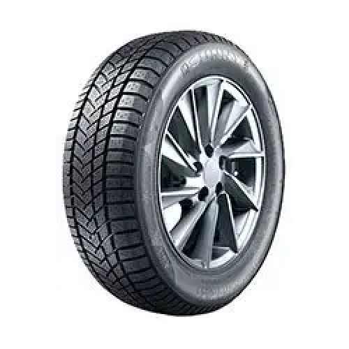 205/55 R17 95V NW211 Wintermax XL