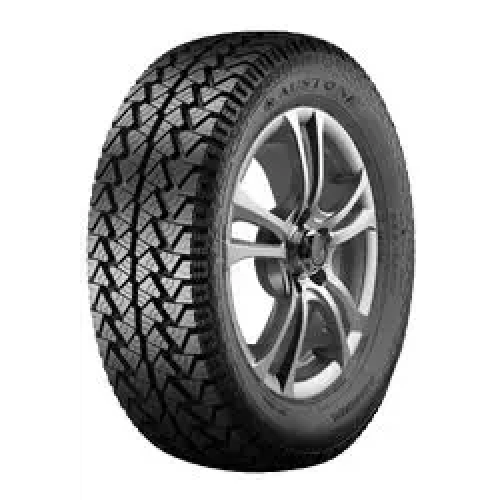 225/65 R17 102H SP 302