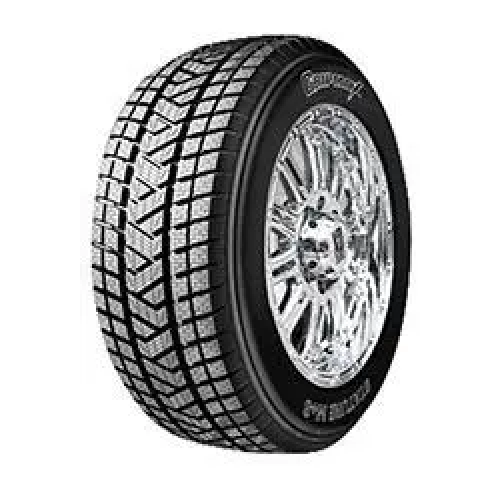 225/55 R19 99H Stature M/S