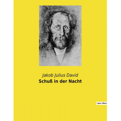 Jakob Julius David - Schuß in der Nacht