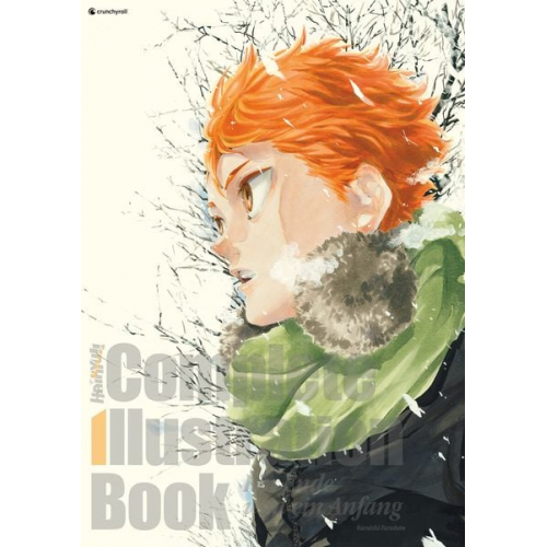 Haruichi Furudate - Haikyu!! Complete Illustration Book – Ein Ende und ein Anfang