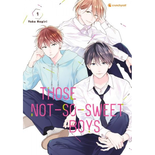 Yoko Nogiri - Those Not-So-Sweet Boys – Band 1