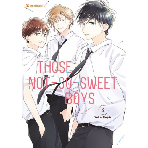 Yoko Nogiri - Those Not-So-Sweet Boys – Band 2