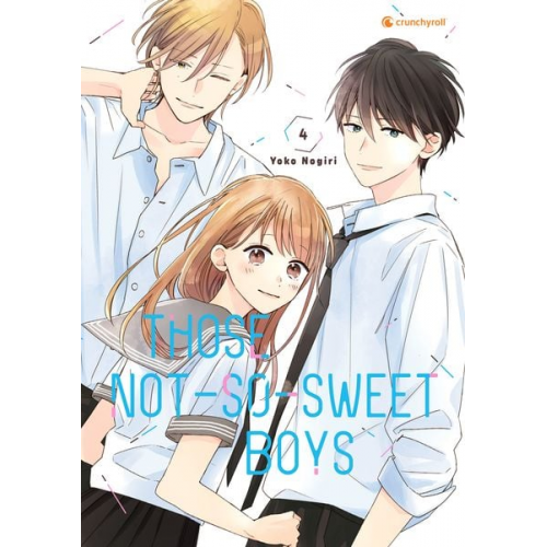 Yoko Nogiri - Those Not-So-Sweet Boys – Band 4