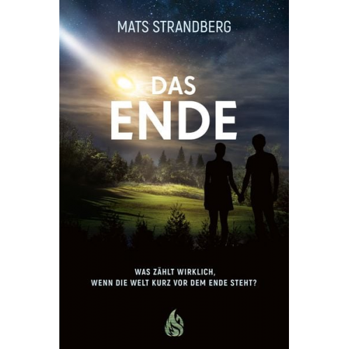 Mats Strandberg - Das Ende