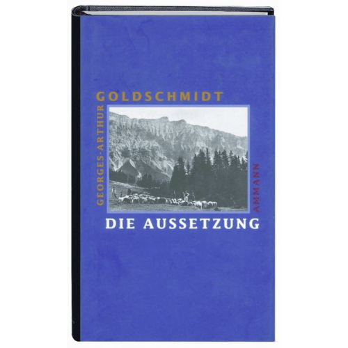 Georges-Arthur Goldschmidt - Die Aussetzung