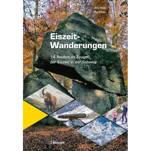 Jürg Alean Paul Felber - Eiszeit-Wanderungen