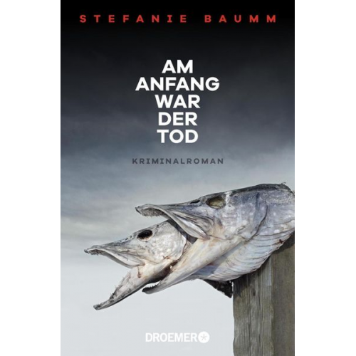 Stefanie Baumm - Am Anfang war der Tod
