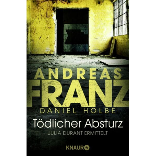 Andreas Franz Daniel Holbe - Tödlicher Absturz / Julia Durant Band 13