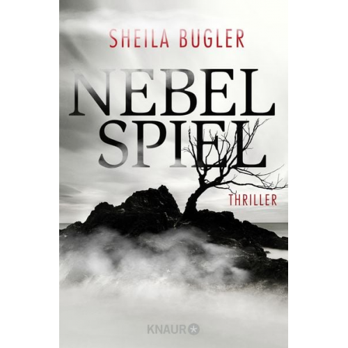 Sheila Bugler - Nebelspiel / Detective Inspector Ellen Kelly Band 1