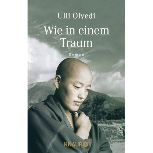 Ulli Olvedi - Wie in einem Traum