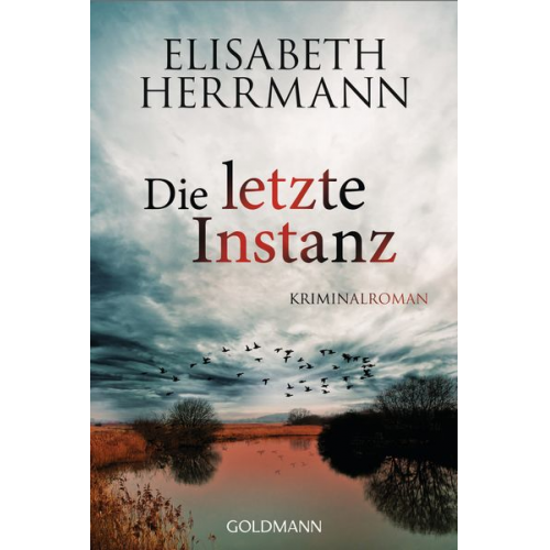 Elisabeth Herrmann - Die letzte Instanz