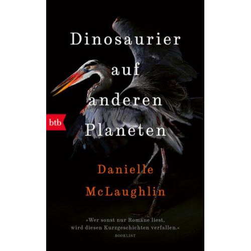 Danielle McLaughlin - Dinosaurier auf anderen Planeten