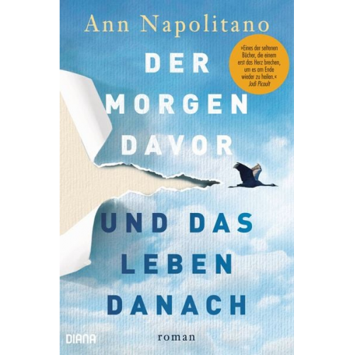 Ann Napolitano - Der Morgen davor und das Leben danach