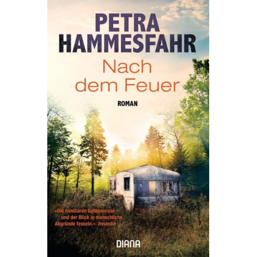 Petra Hammesfahr - Nach dem Feuer