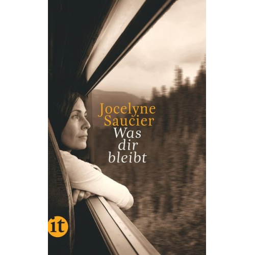 Jocelyne Saucier - Was dir bleibt