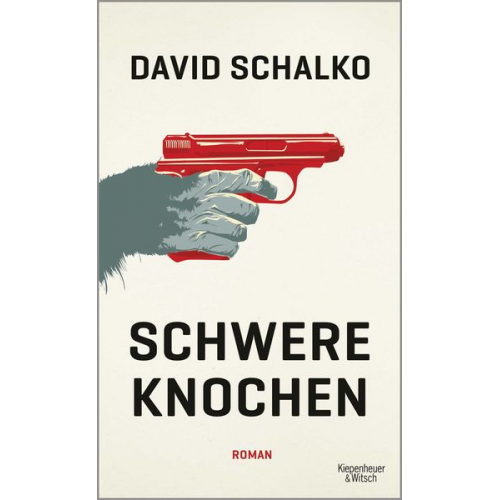 David Schalko - Schwere Knochen