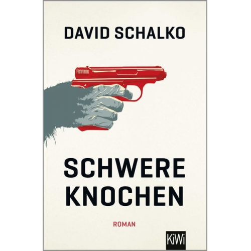 David Schalko - Schwere Knochen