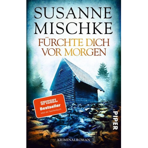 Susanne Mischke - Fürchte dich vor morgen