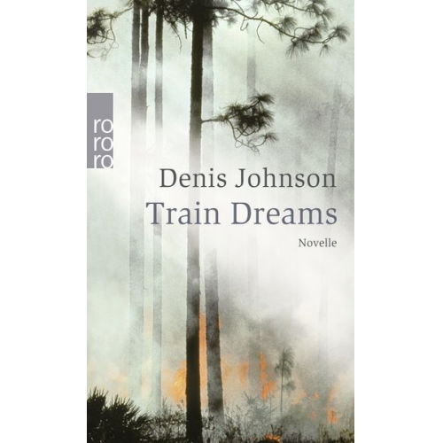 Denis Johnson - Train Dreams