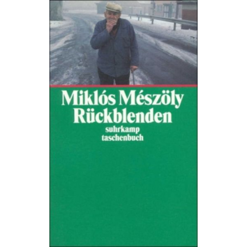 Miklos Meszöly - Meszöly, M: Rückblenden