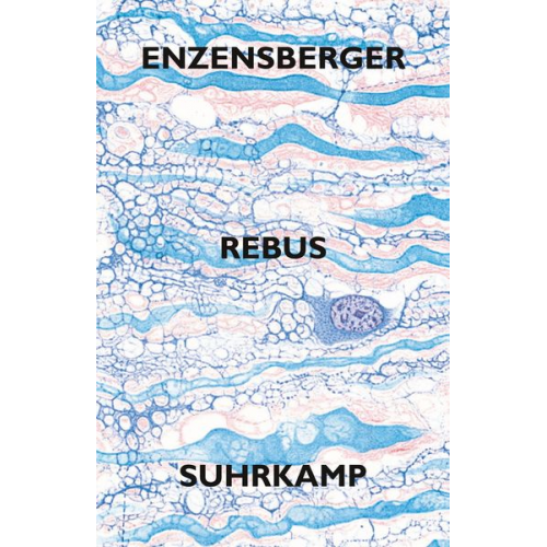 Hans Magnus Enzensberger - Rebus