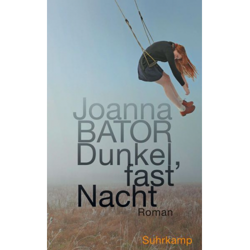 Joanna Bator - Dunkel, fast Nacht