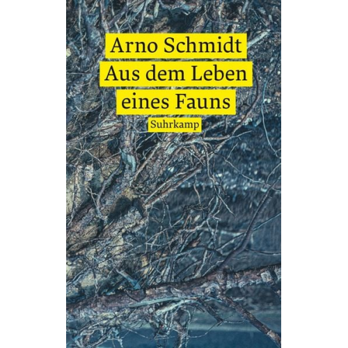 Arno Schmidt - Aus dem Leben eines Fauns