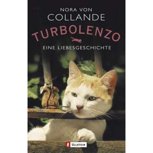 Nora Collande - Turbolenzo