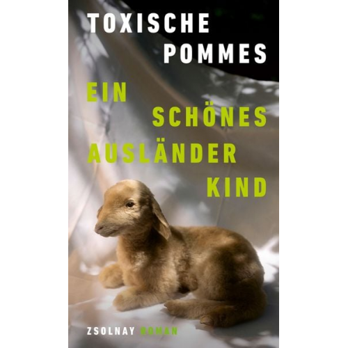 Toxische Pommes - Ein schönes Ausländerkind