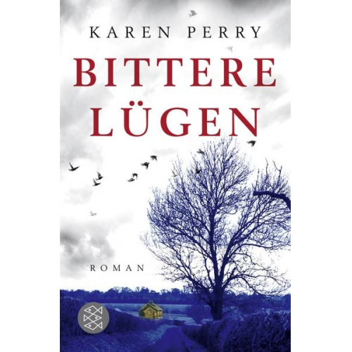 Karen Perry - Bittere Lügen