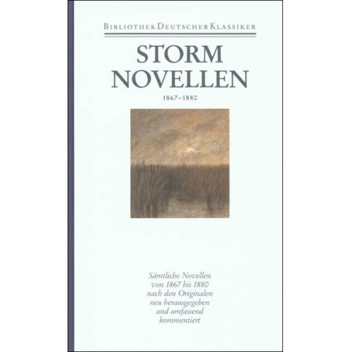 Theodor Storm - Sämtliche Werke. Novellen II. 1867 - 1880