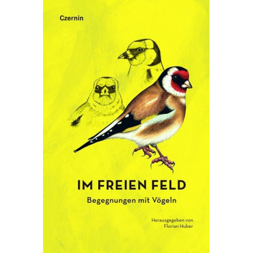 Im freien Feld