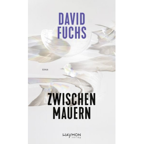 David Fuchs - Zwischen Mauern