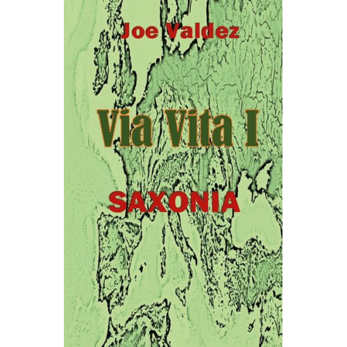 Joe Valdez - Via Vita I