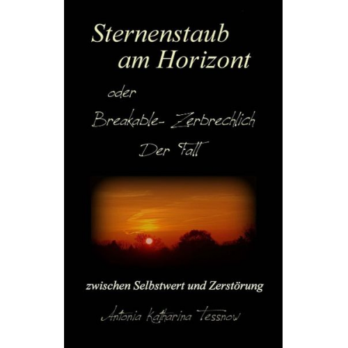 Antonia Katharina Tessnow - Sternenstaub am Horizont oder Breakable - Zerbrechlich: Der Fall