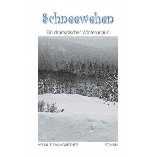 Helmut Baumgärtner - Schneewehen