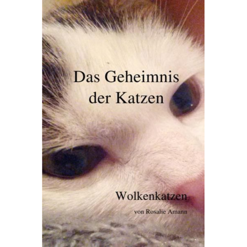 Rosalie Amann - Das Geheimnis der Katzen / Das Geheimnis der Katzen - Wolkenkatzen